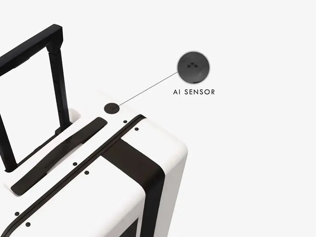 Follow Me Luggage