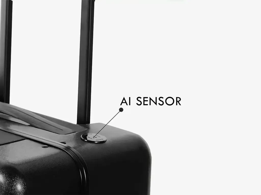 Follow Me Luggage