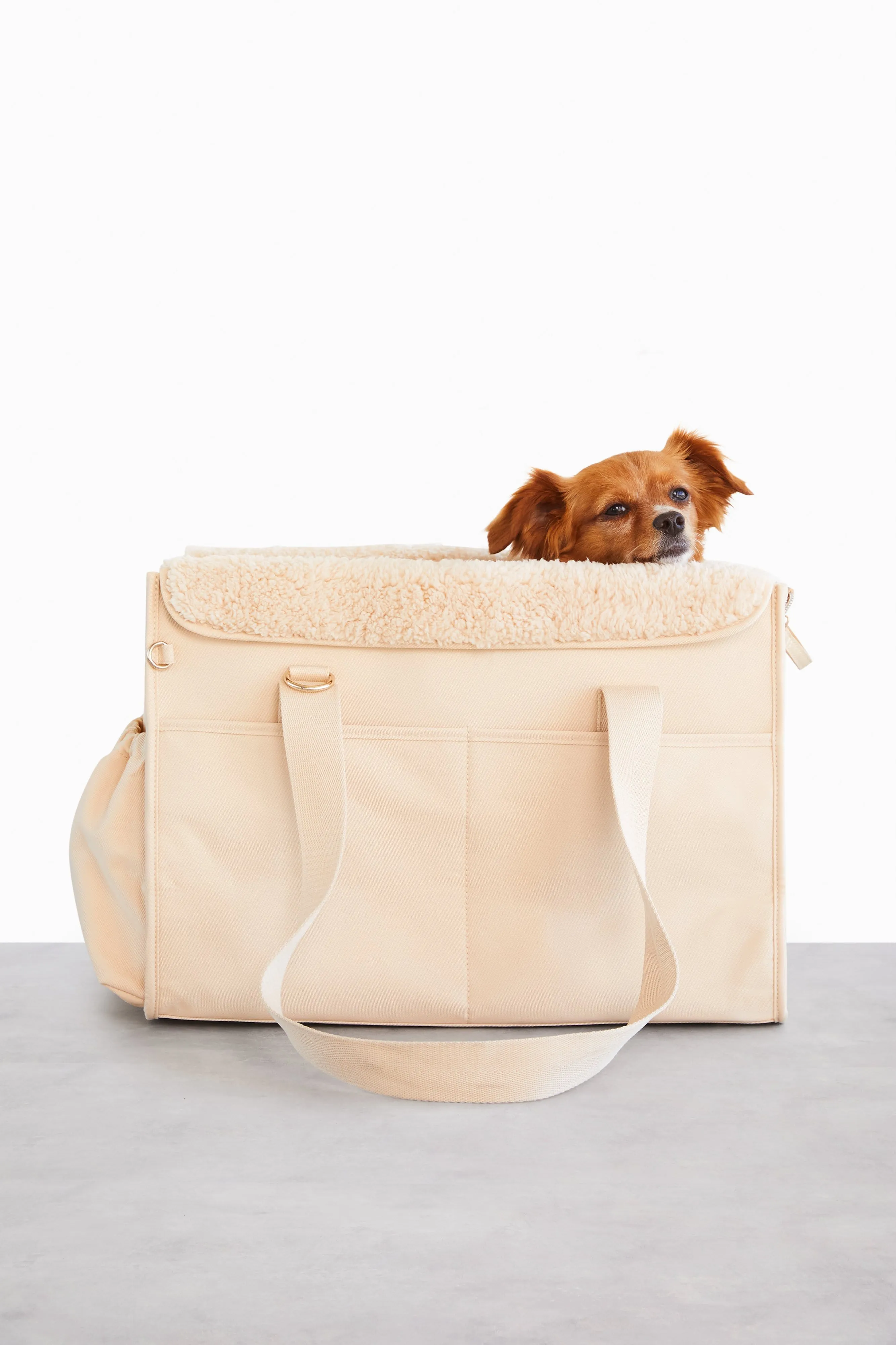 Resale The Everyday Pet Tote in Beige